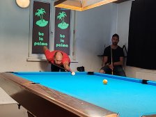IMG_20250920_150033.jpg