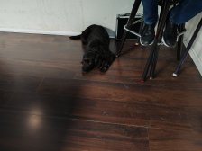 IMG_20251129_211856.jpg